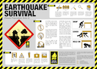 Safety During an Earthquake
